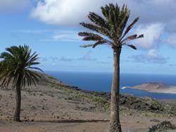 Lanzarote - Canary Islands. Windsurfing pro coaching holiday.
